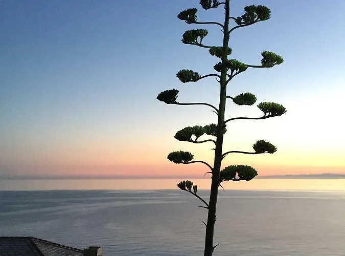 2 Con Terrazza Nel * Moneglia